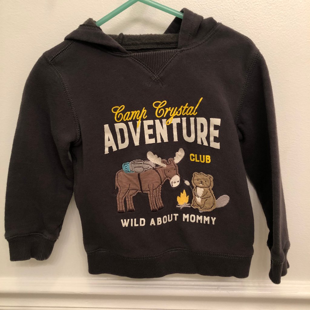 Carter's Camp Crystal Adventure Club Hoodie